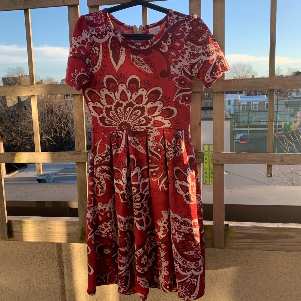 LulaRoe Paisley Pink Amelia Dress